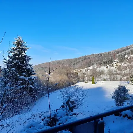 Schwarzwald Pur Διαμέρισμα