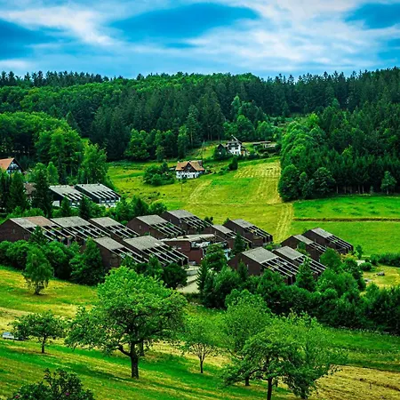 Schwarzwald Pur Appartamento *